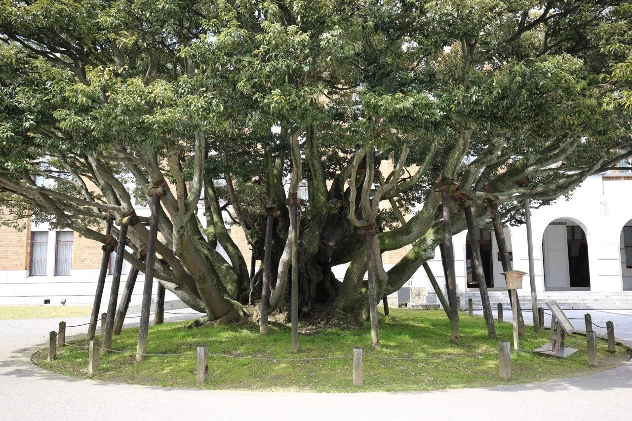 Kenroku-en Garten in Kanazawa