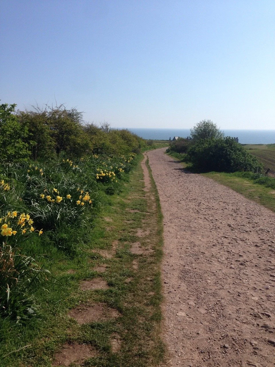 Weg zum Dunnottar Castle