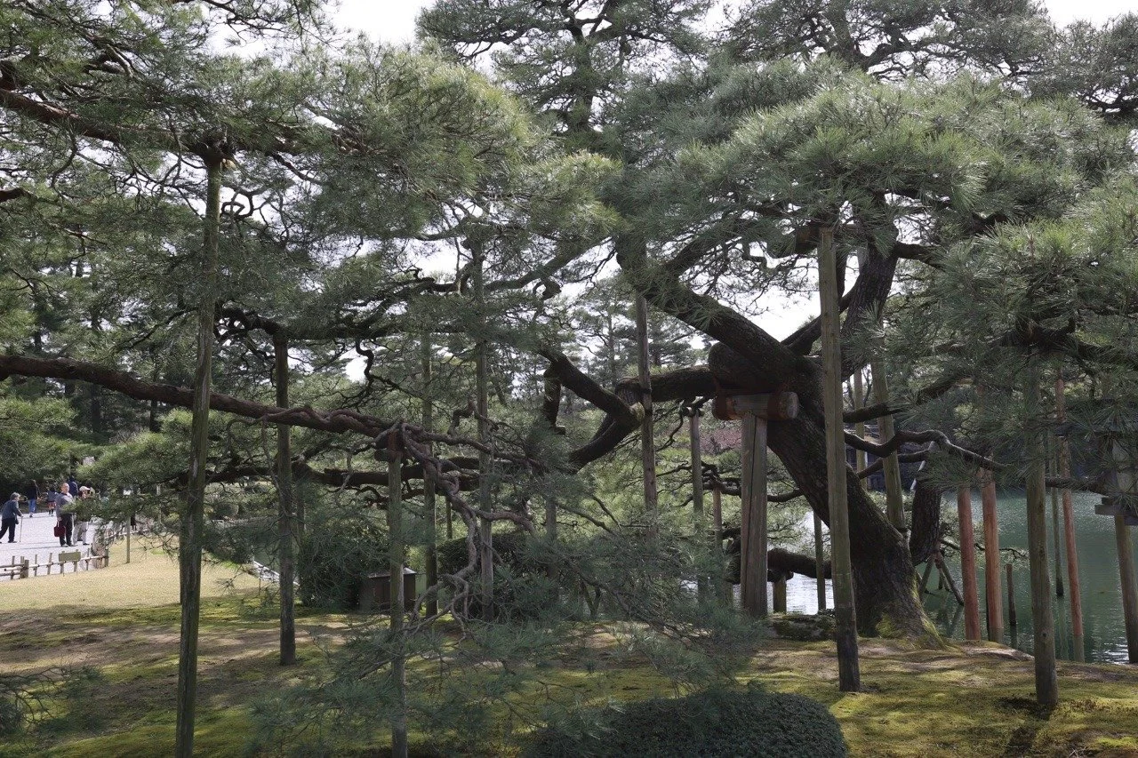Kenroku-en Garten in Kanazawa