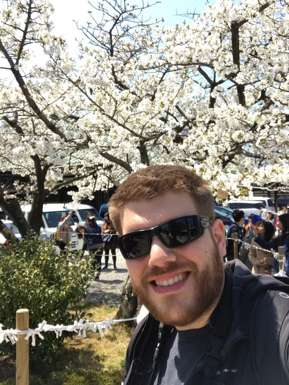 Kirschblüten