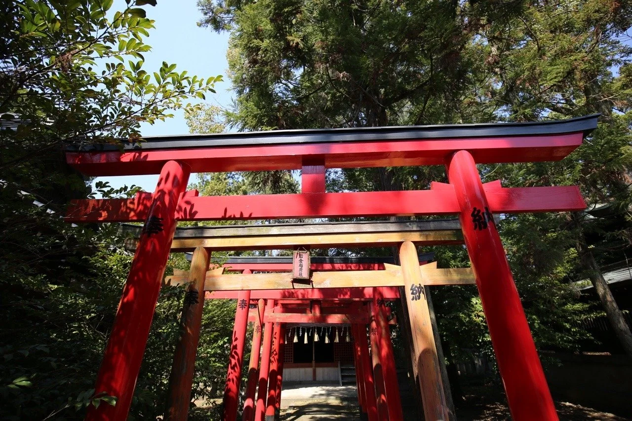 Tori am Schrein in Himeji