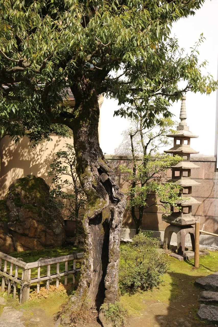 Kenroku-en Garten in Kanazawa
