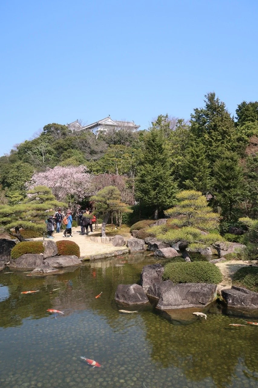 Teich mit Koa-Karpfen im Koko-en Garten im April