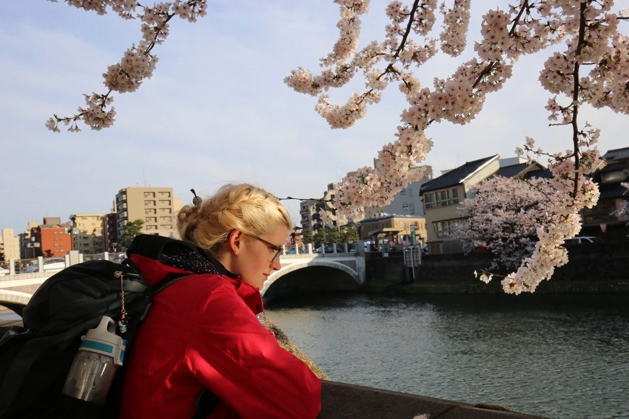 Fluss in Kanazawa mit blühenden Kirschbäumen