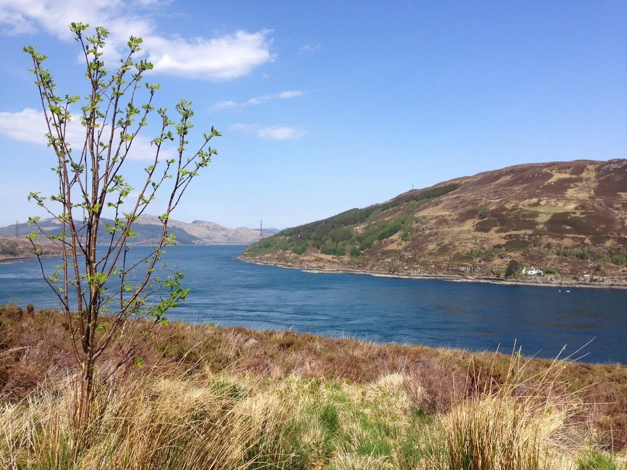 Aussicht aufs Loch in Schottland