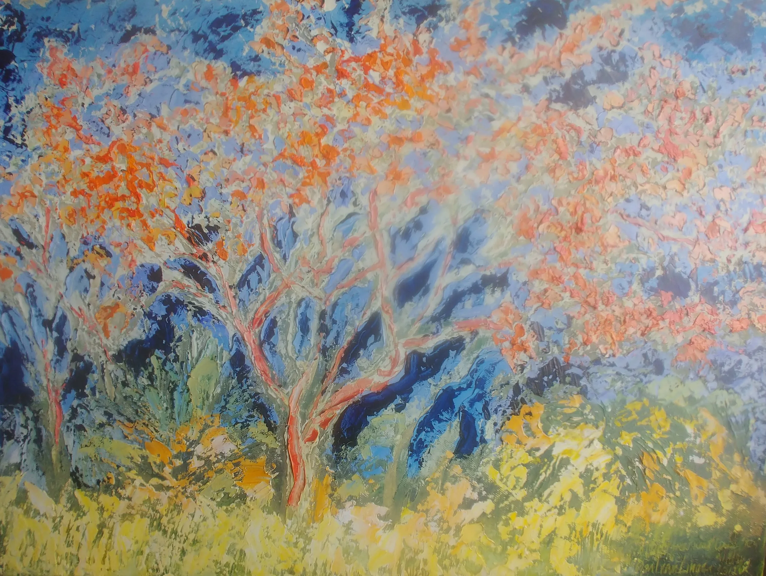 FLAME TREE.jpg