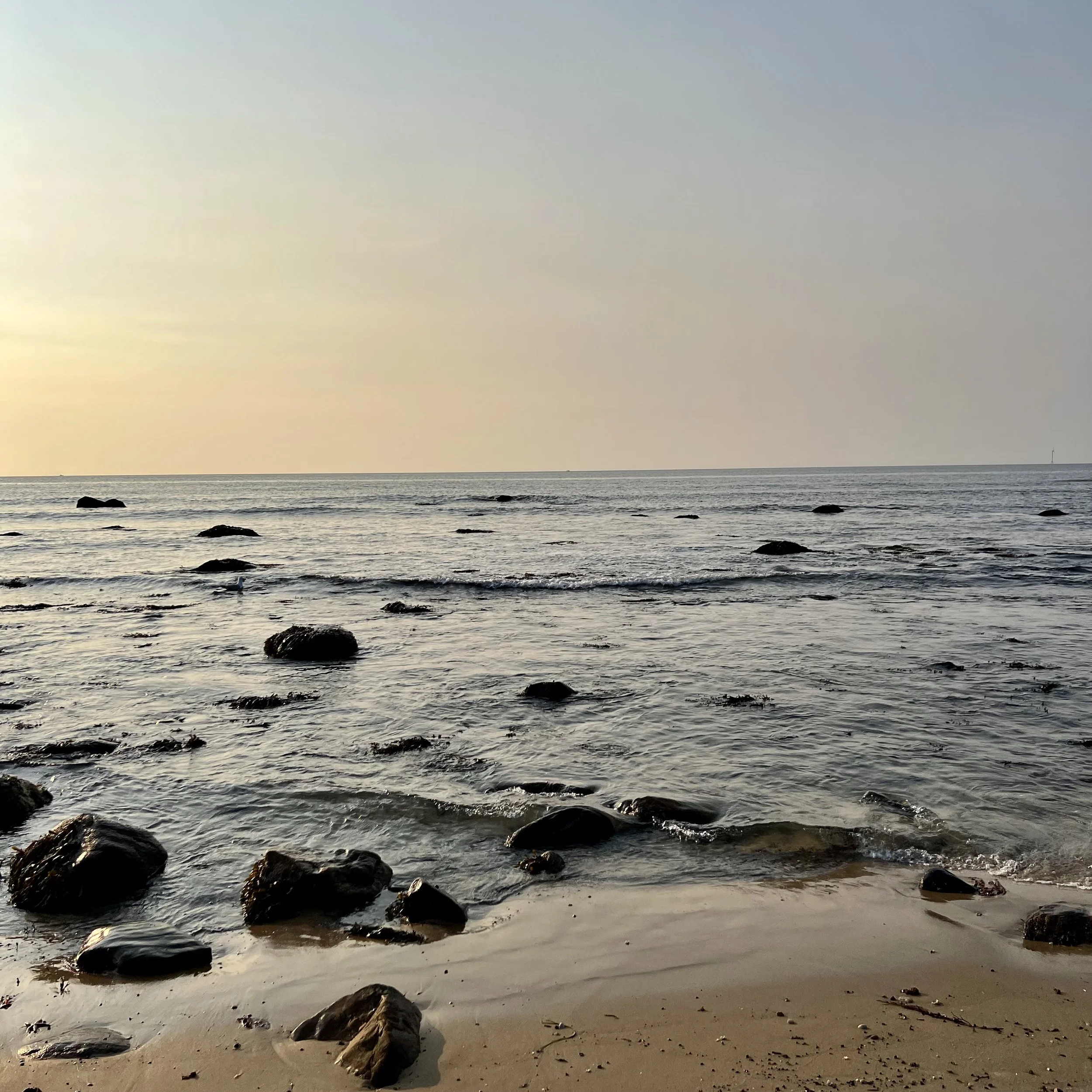 Ocean Voice / Heart / Holds tight / Only to open . . . / In quiet trust / I walk away / Again & again / Called back always / By the ocean / Of my voice
