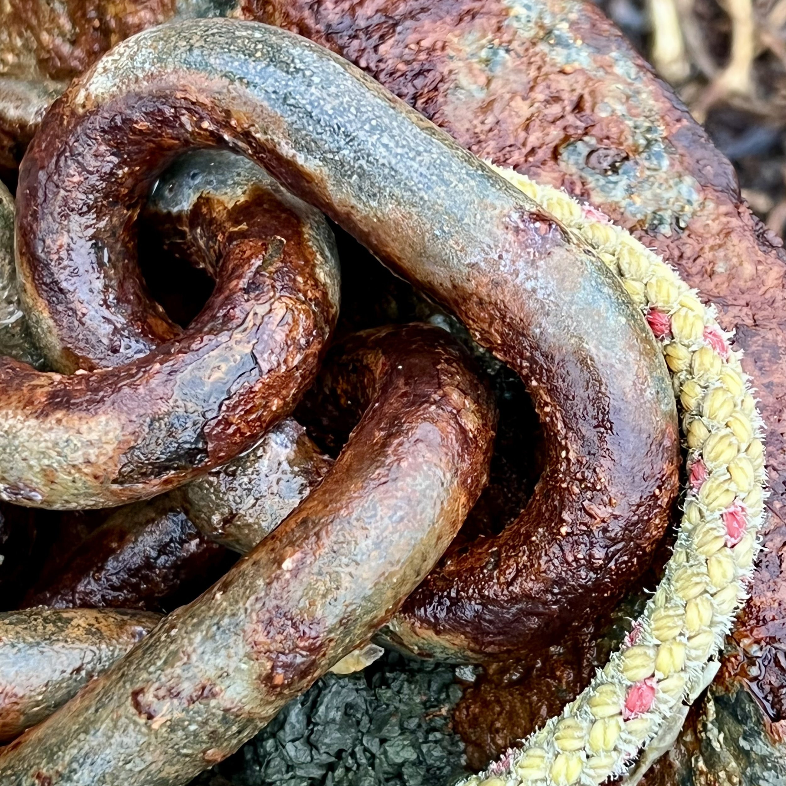 Beyond Grace  /  Did my heart hold, as long as I have lived, these words inside? / My little girl self, long ago, don’t keep so tight your dreams inside to break your heart / My little girl self, this world needs your strength, fierce & bright /  My 