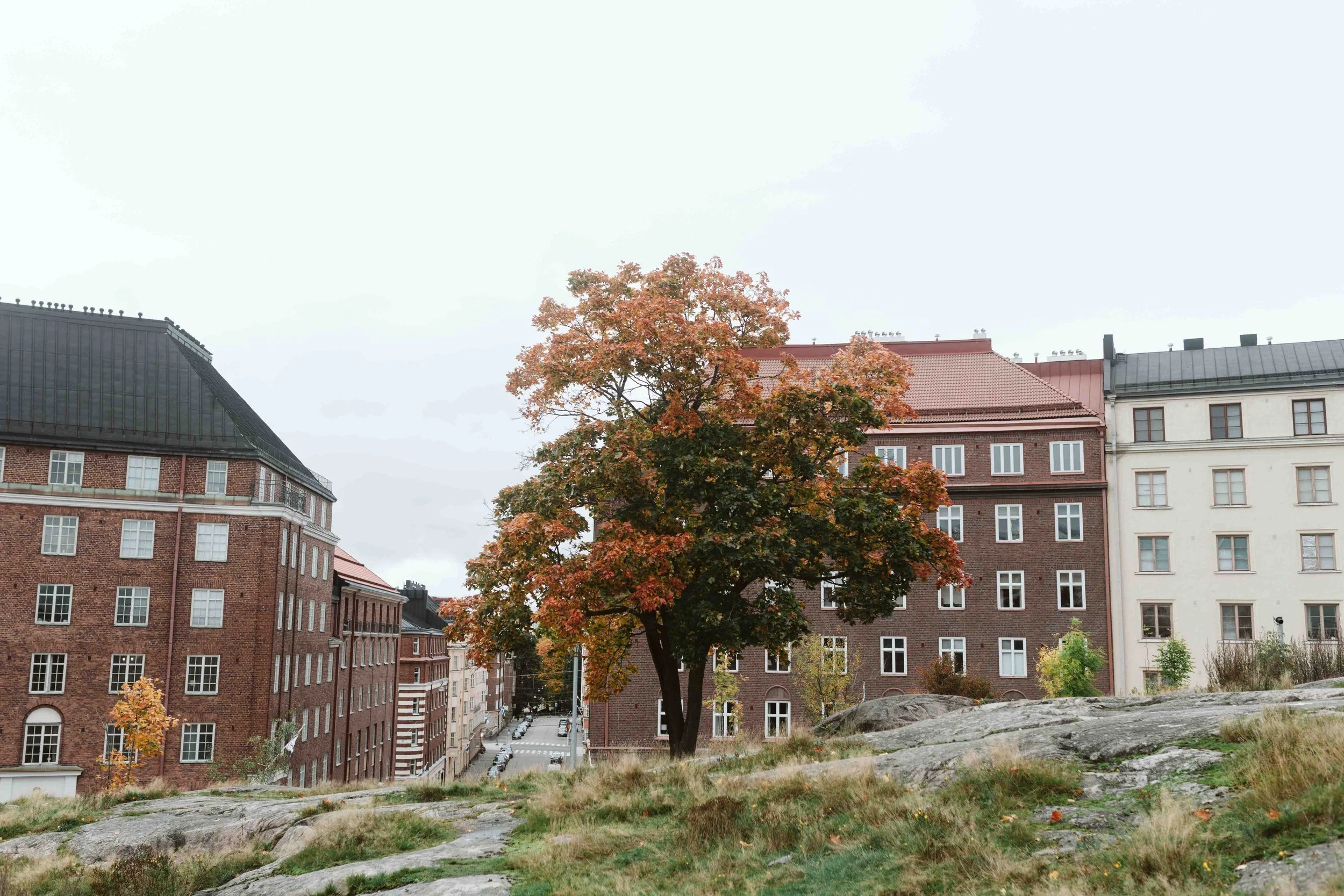 sara&jere_netti178.jpg