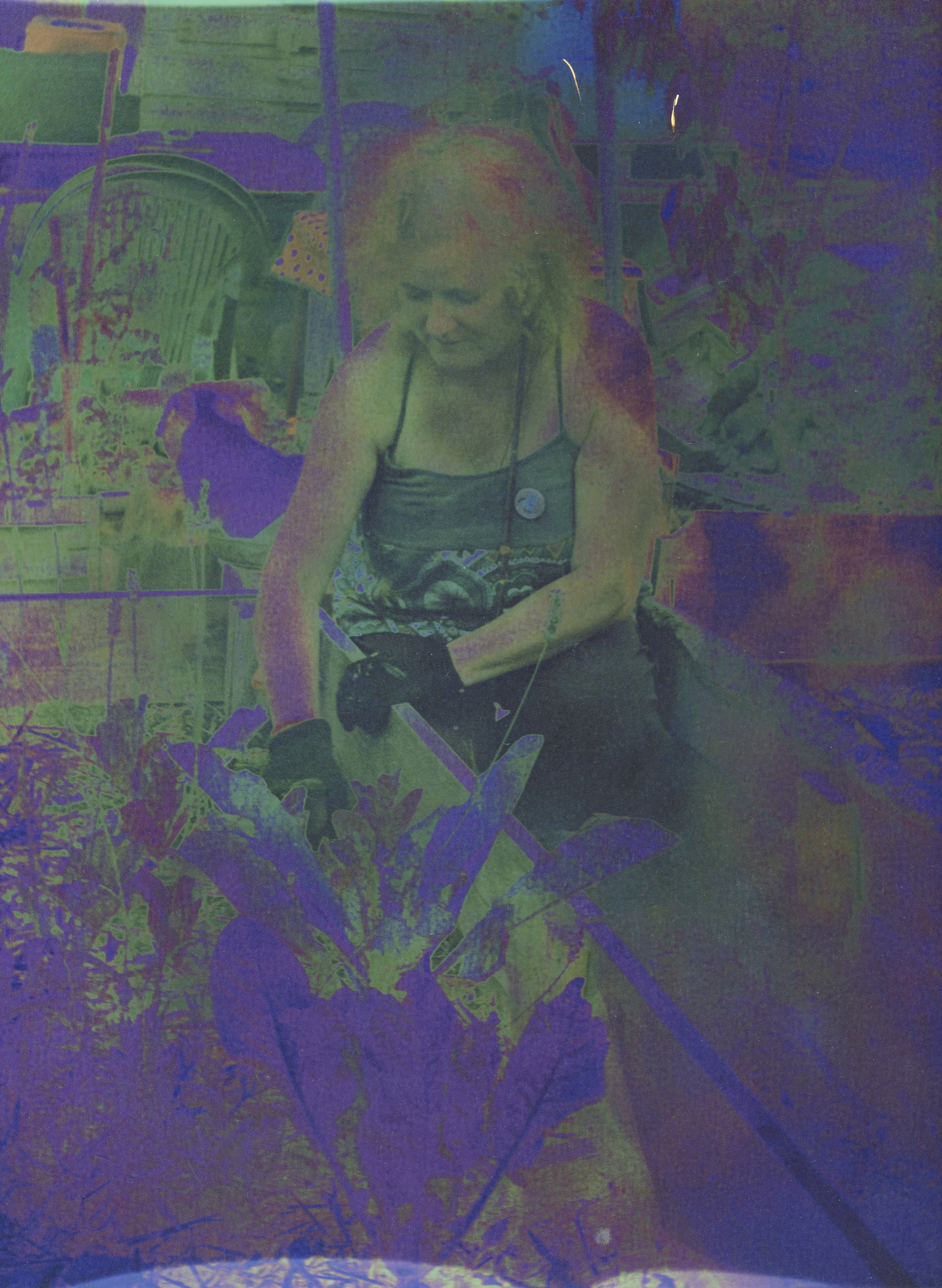 vm37322.jpg