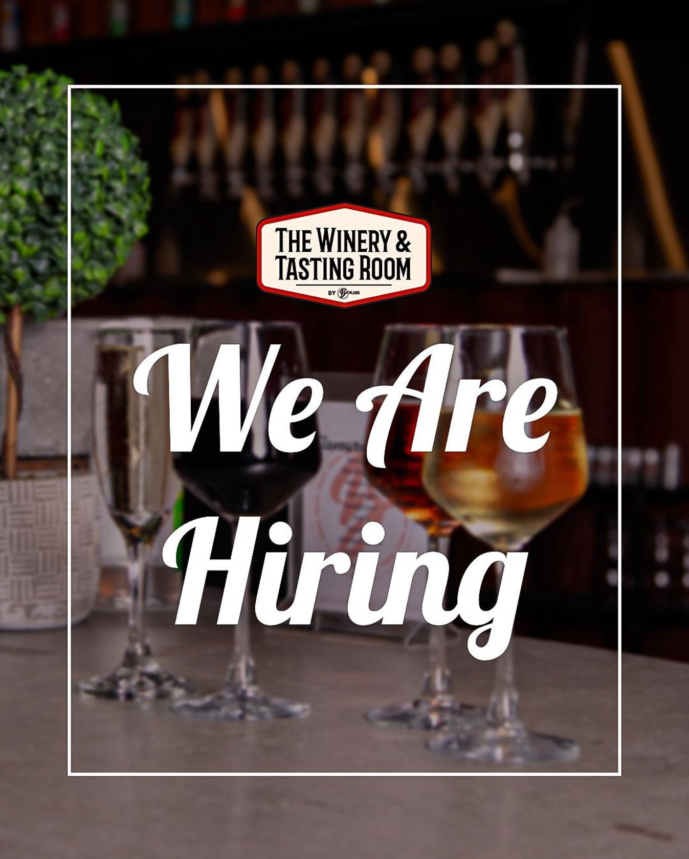 We&rsquo;re Hiring at The Winery and Tasting Room! 🍷

Love wine and enjoy working in a fast-paced, guest-focused environment? We&rsquo;d love to hear from you.

We&rsquo;re looking for friendly, dependable front-of-house team members to join us in t