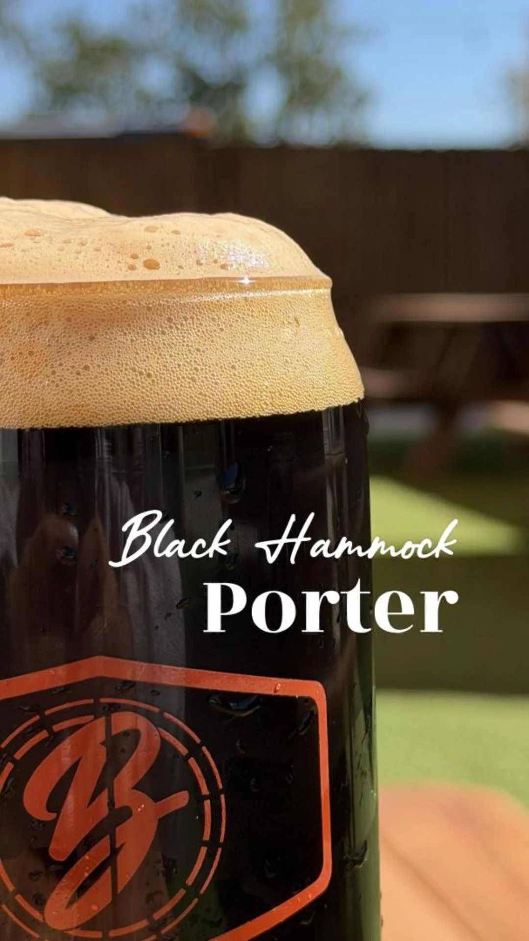 Black Hammock Porter