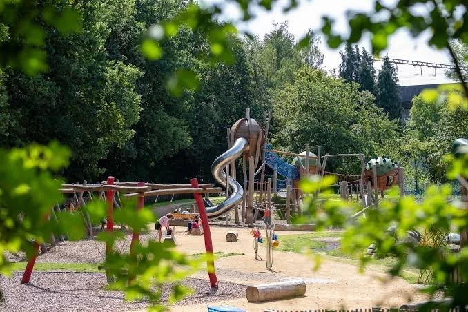 Bois des rêves
