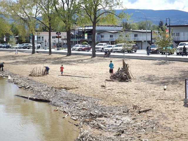 Penticton-Flood-Sicamous-Beach-Cleaning-driftwood.jpg