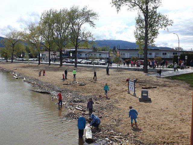 Penticton-Flood-Sicamous-Driftwood-and-debris-on-the-lake-shore.jpg