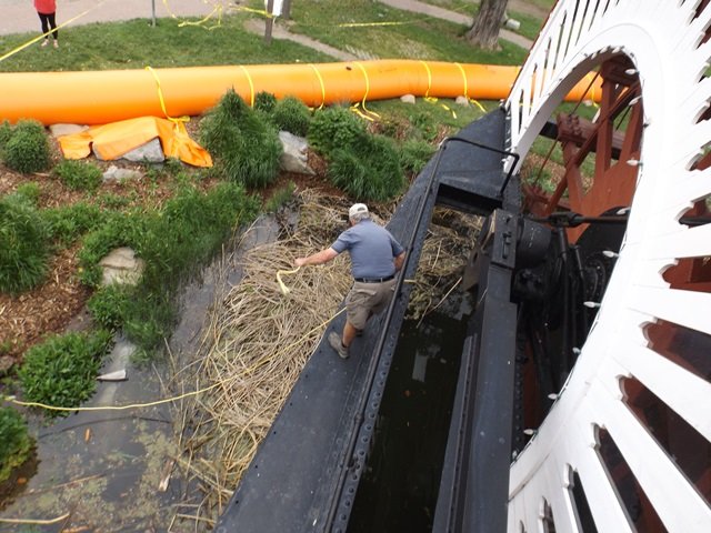 SS-Sicamous-High-Water-2017-Adolf-tying-up-the-stern-with-rope.jpg