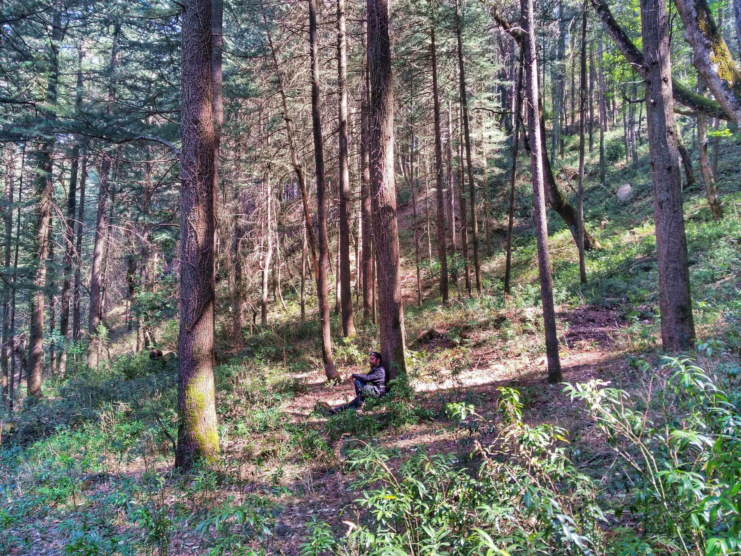 The do nothing project | Vaatalya.jpeg