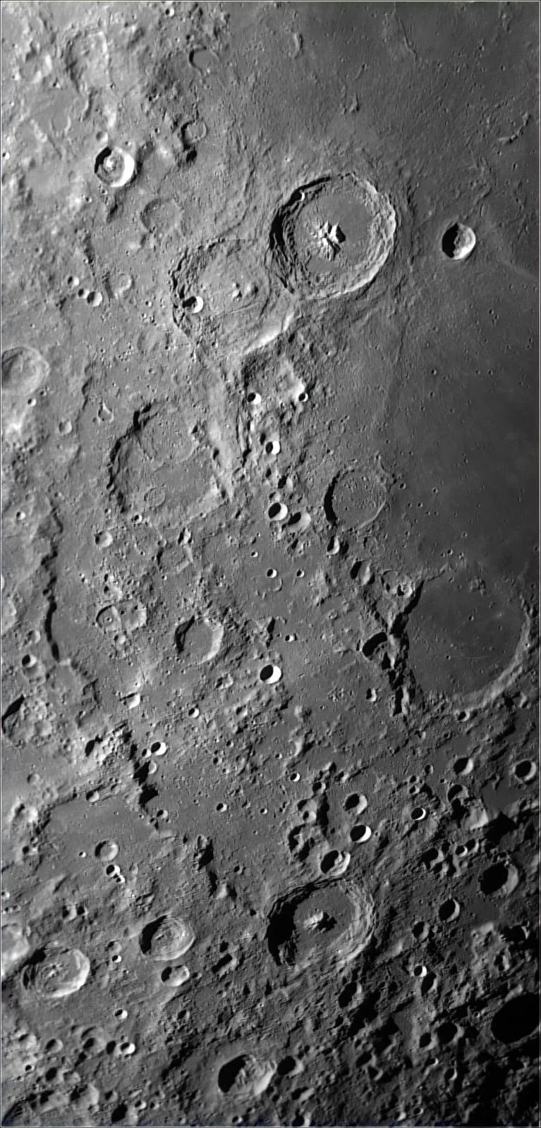 WhatsApp Image 2026-01-26 at 15.37.45.jpeg