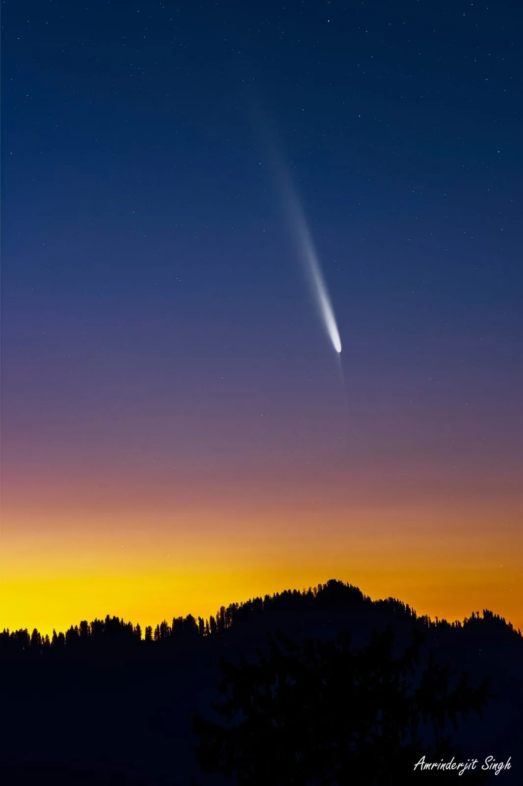 WhatsApp Image 2026-01-26 at 15.35.20.jpeg