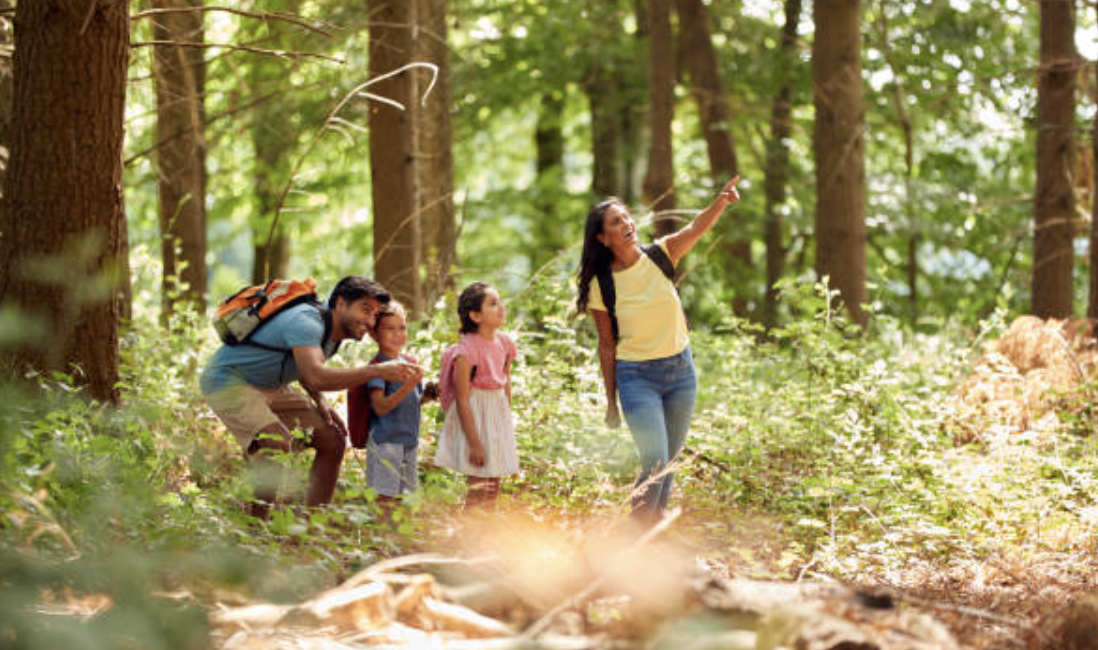 Screenshot 2026-01-12 at 2.10.59 PM.png