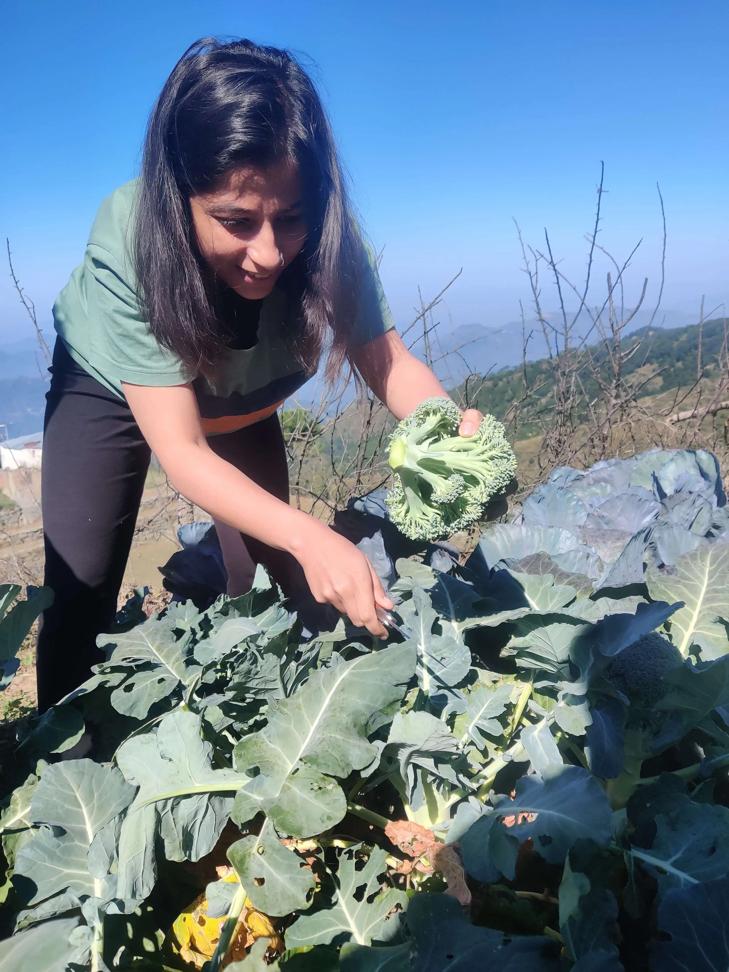 Farms | Testimonials | Work Exchange | Vaatalya Community Retreat .jpg