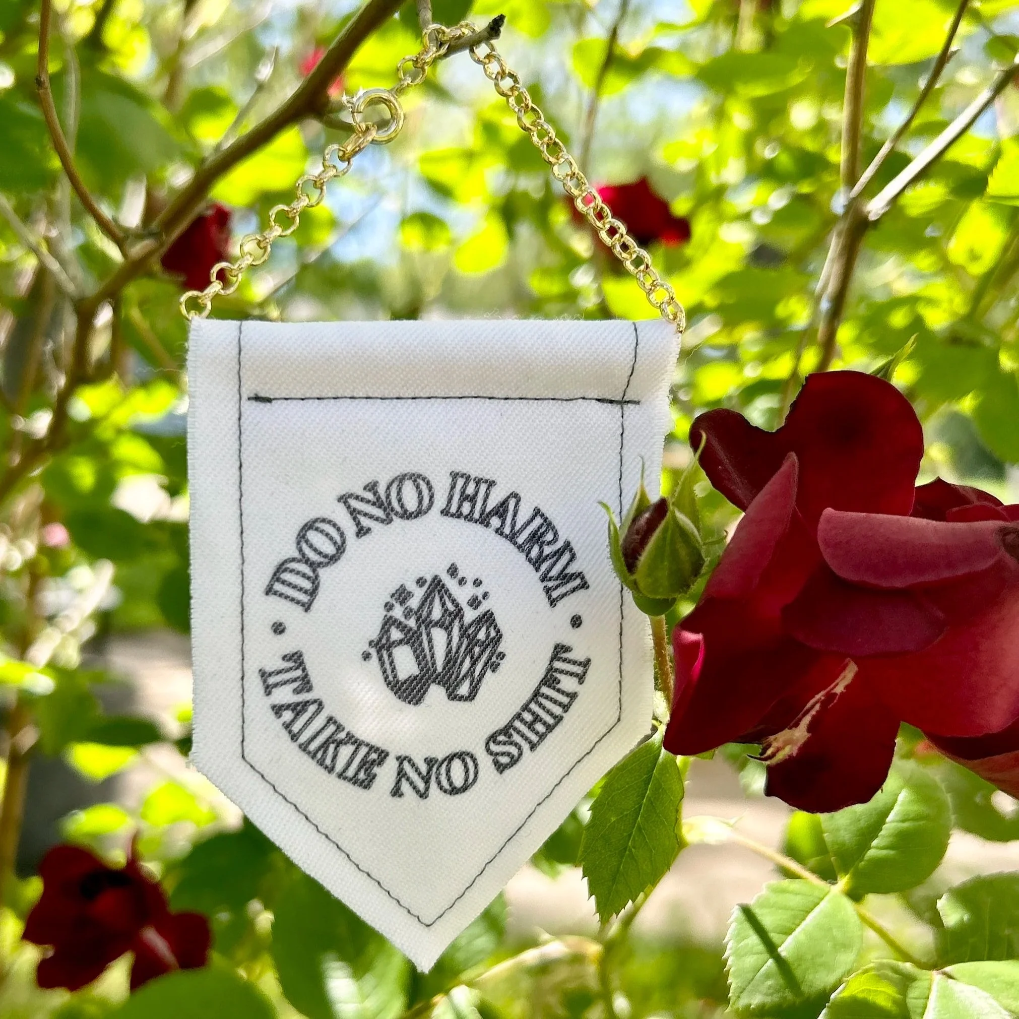 Do No Harm, Take No Shit • Mini Banner