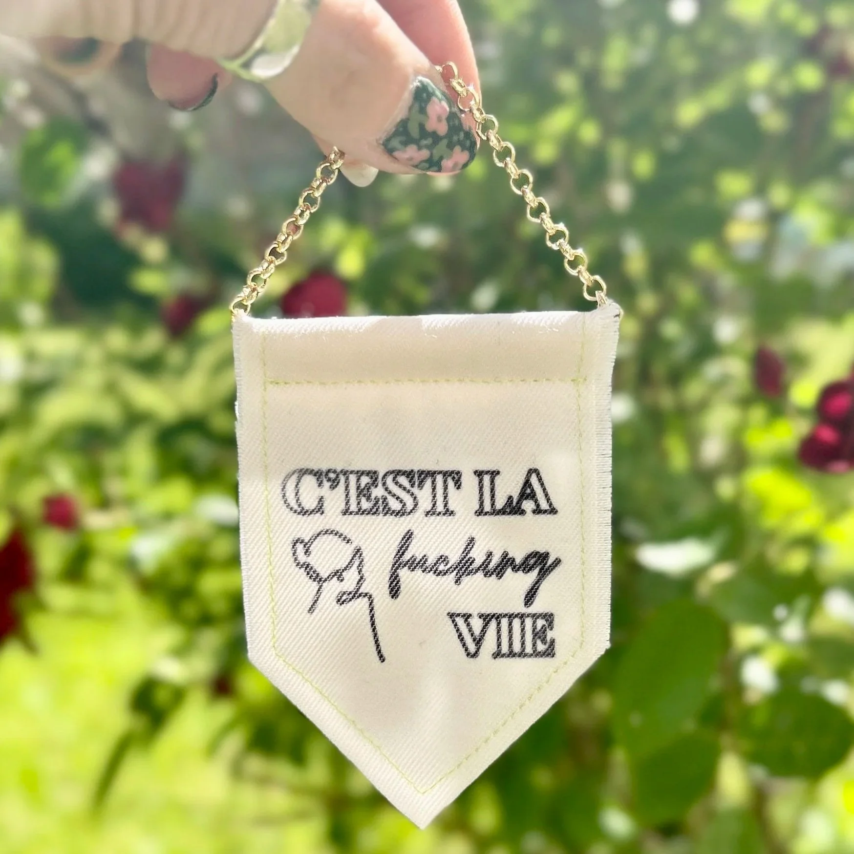 C'est La Fucking Vie • Mini Banner