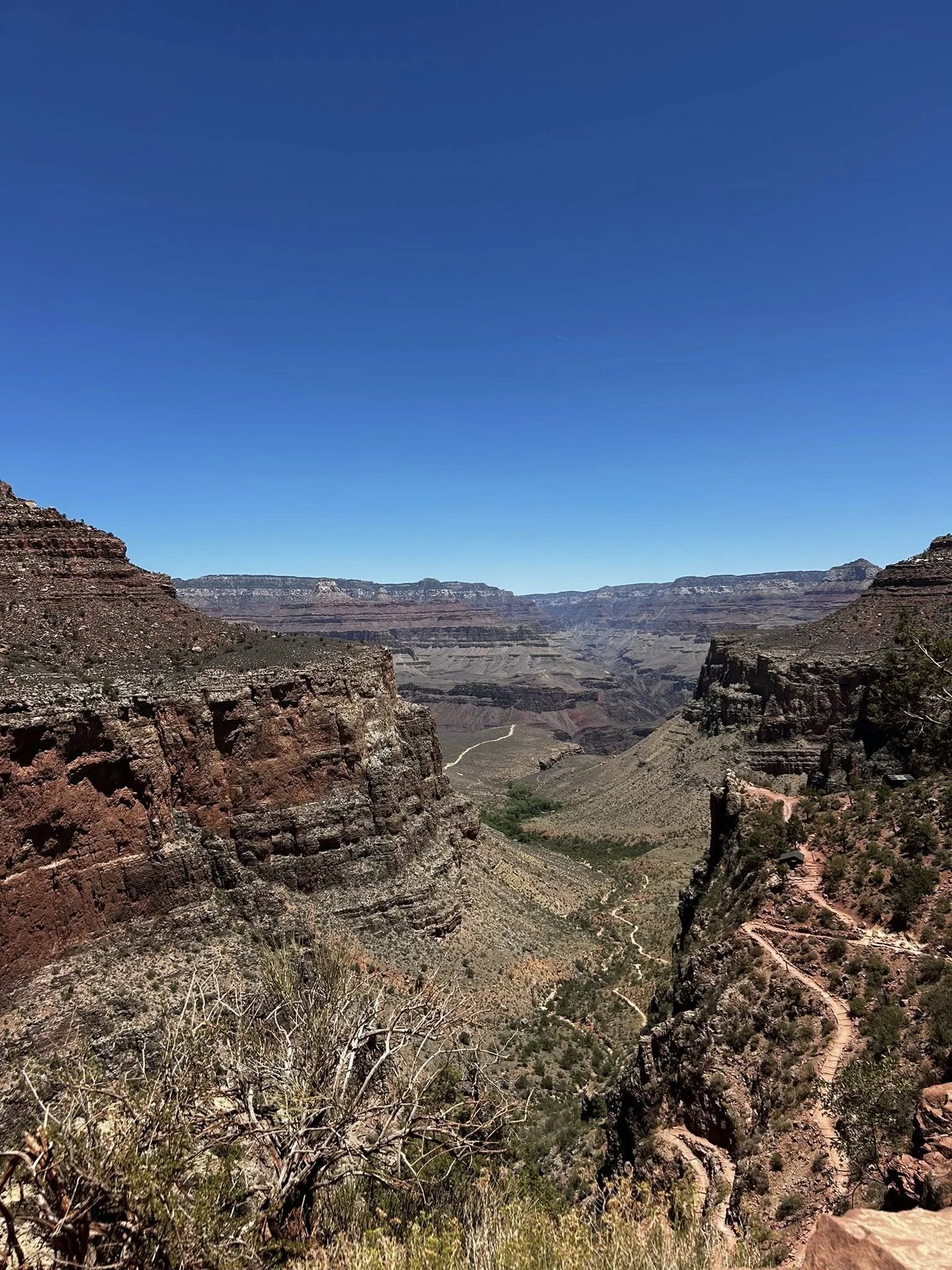 37.jpg