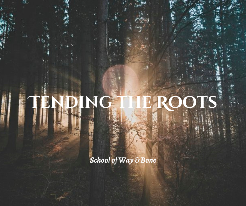 Tending the Roots Small Group Mentorship