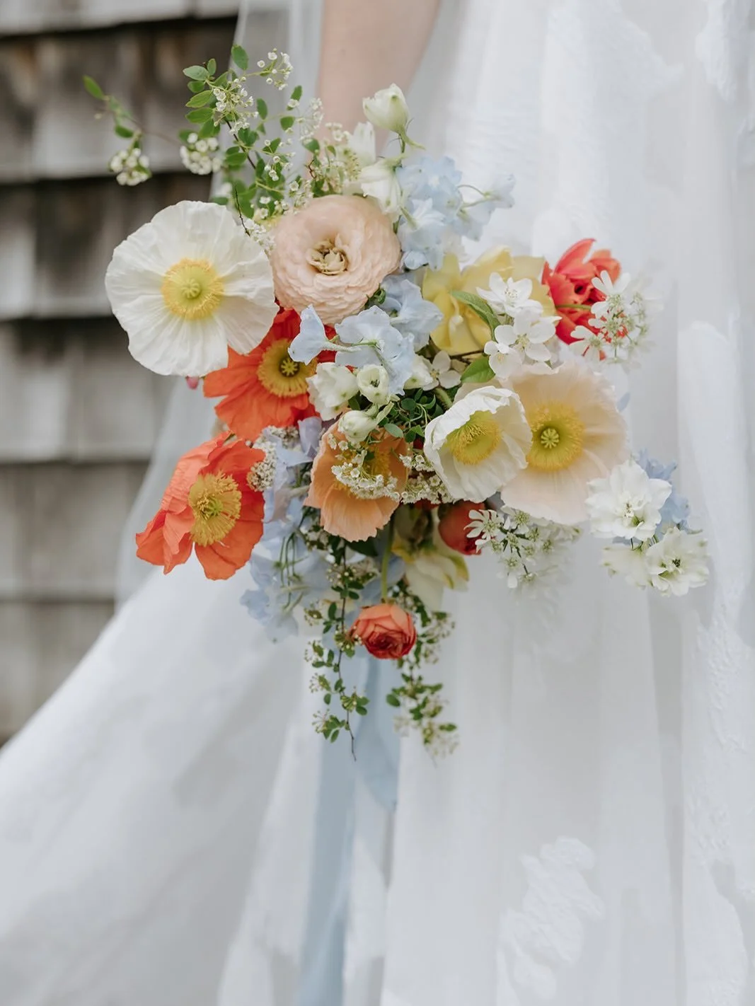 just a few of my favorite bridal bouquets from 2025 🤍

photographers:
@jillhoylephotography 
@markwspooner @msp_photocollective 
@annacraigphoto 
@somewherenorth__ 
@byroyrivas 
@emilysawchuckphotography