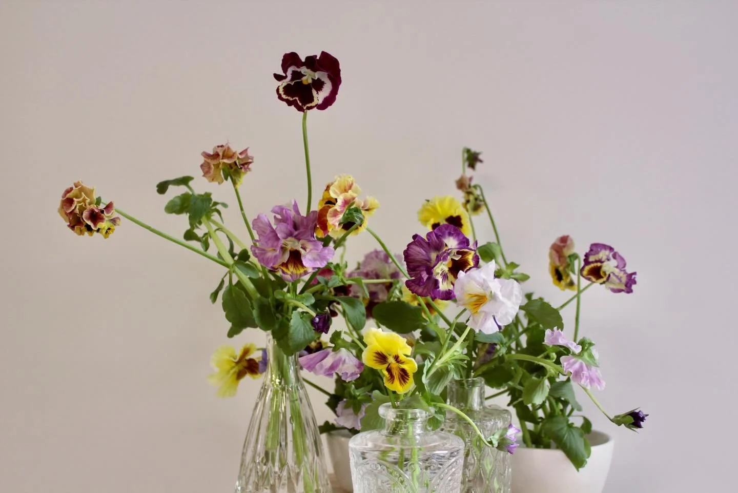 it feels closer every day!