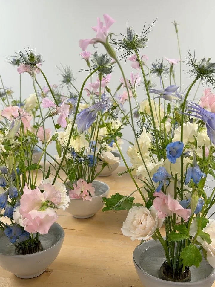 cocktail hour cuties featuring the sweetest columbine and agrostemma grown in Maine 

@blueflagfarmmaine @chasesdaily @bumblerootorganicfarm @lazyacresfarm @maineflowercollective