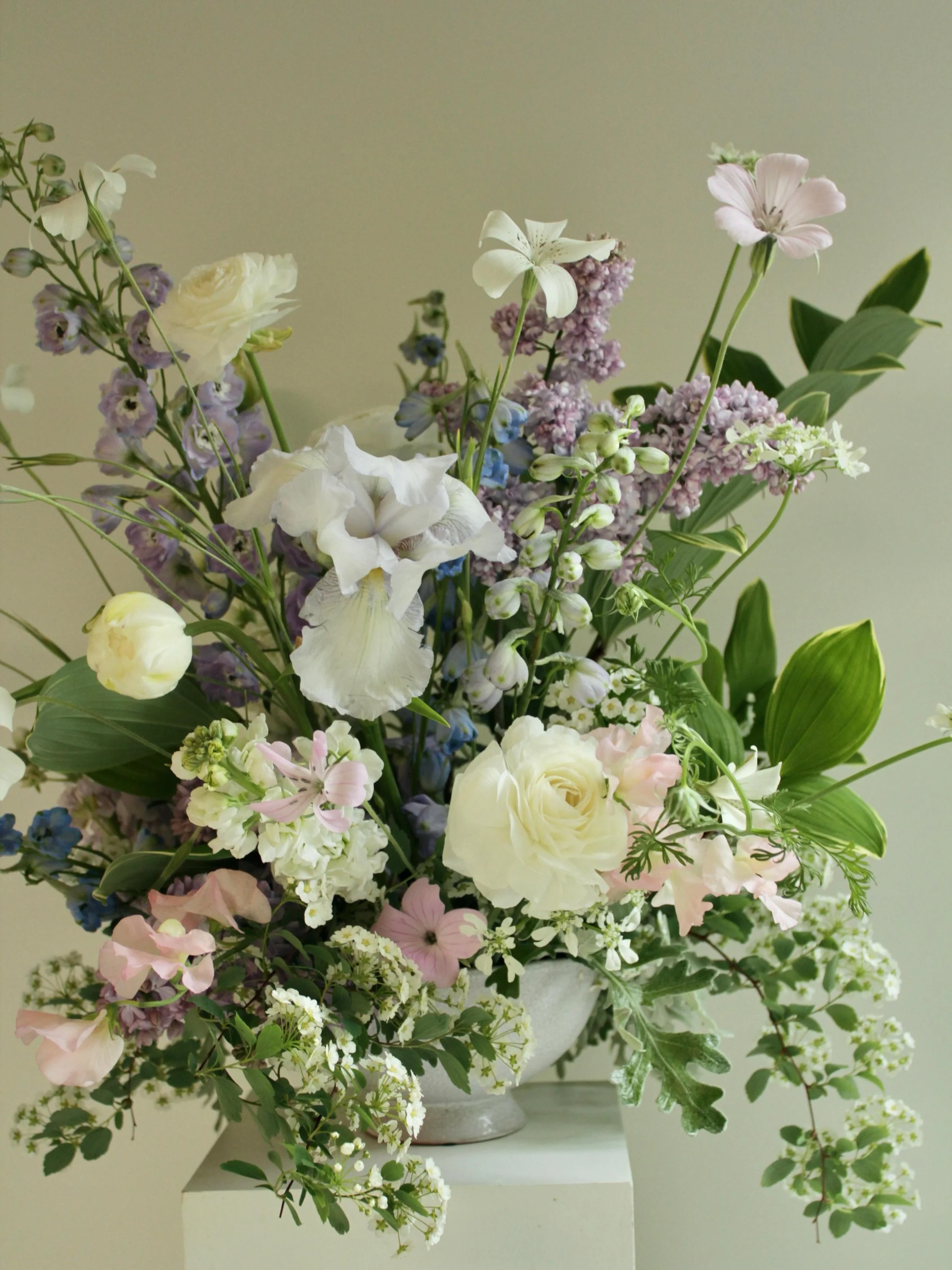 fluffy and delicate spring pastels forever