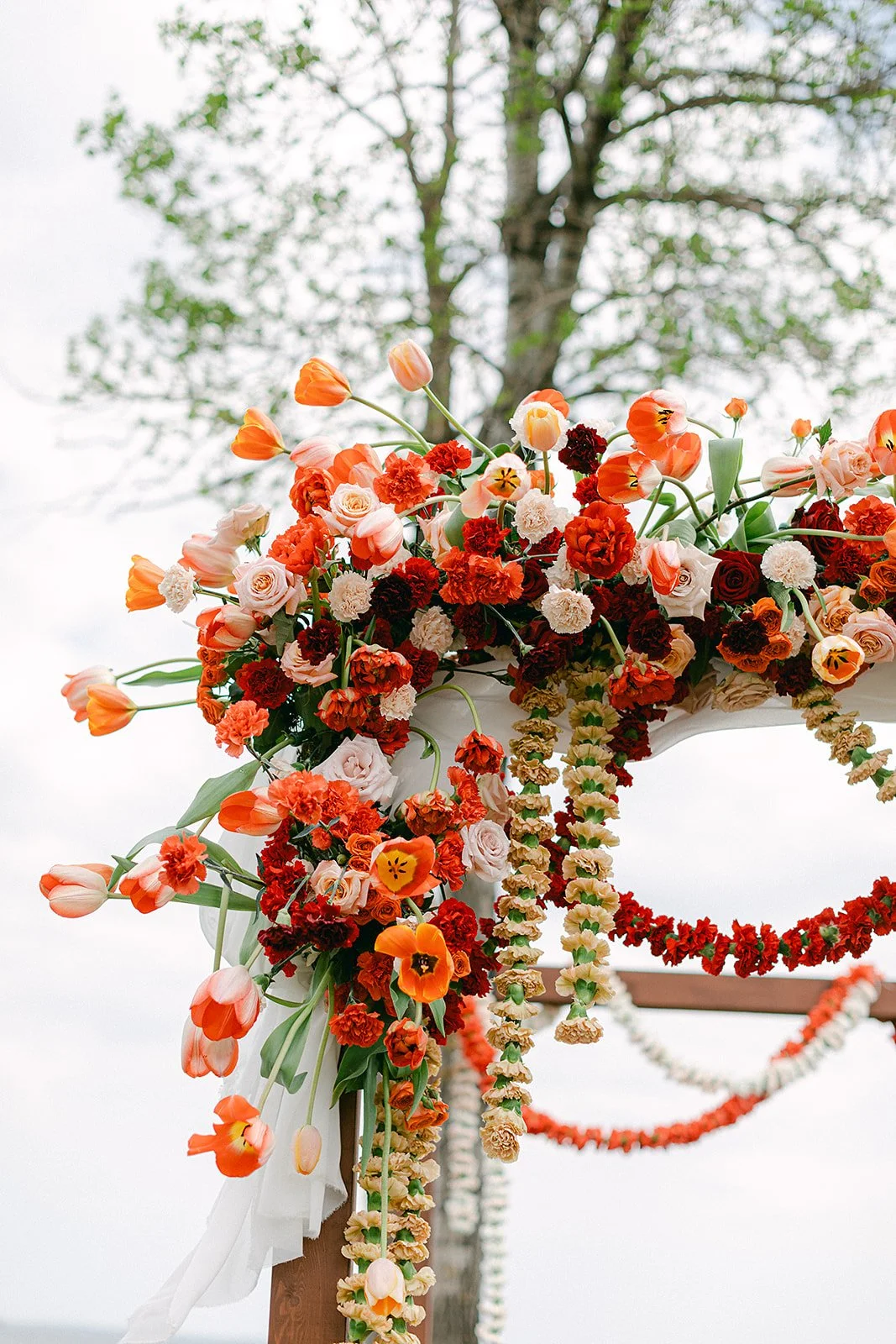 Elizabeth & Adarsh_s Wedding Sneak Peaks _-40.jpg