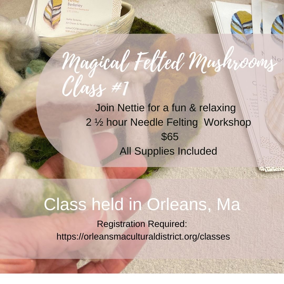 Magical Felted Mushrooms - Workshop #1