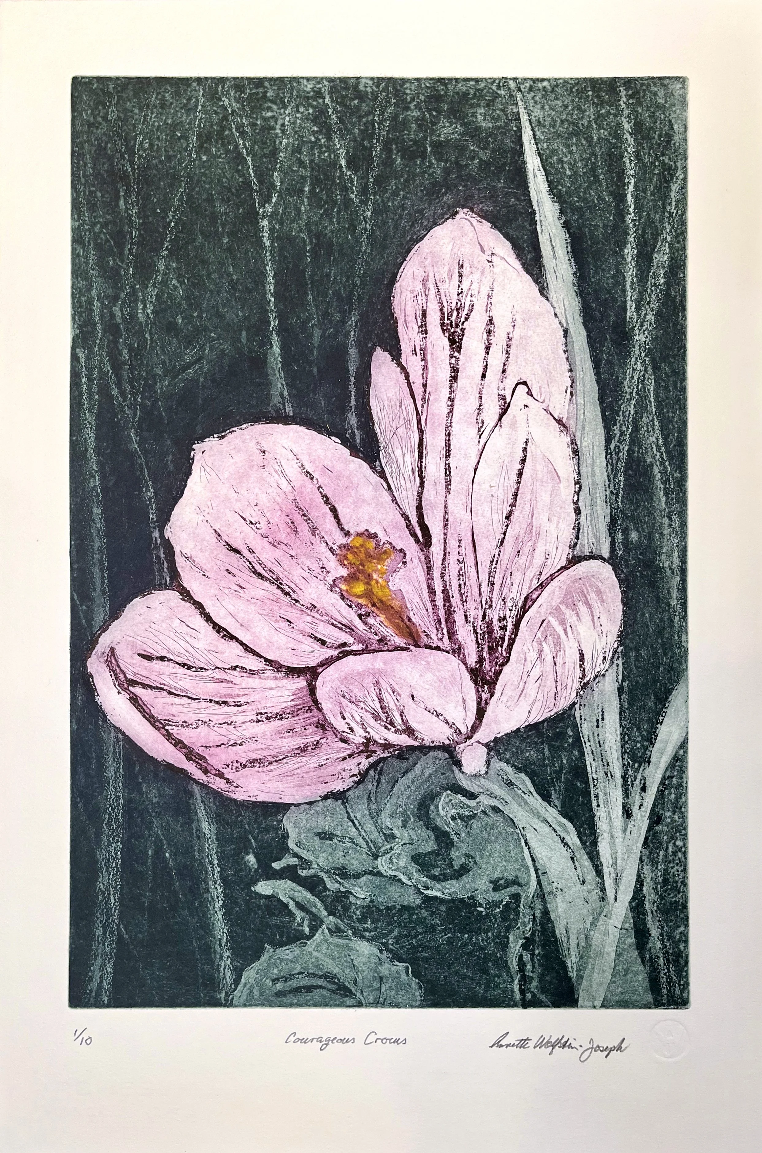 "COURAGEOUS CROCUS" Etching with aquatint on copper plate 18” H x 12” W, on Arches paper 22”H x 15” W, $295