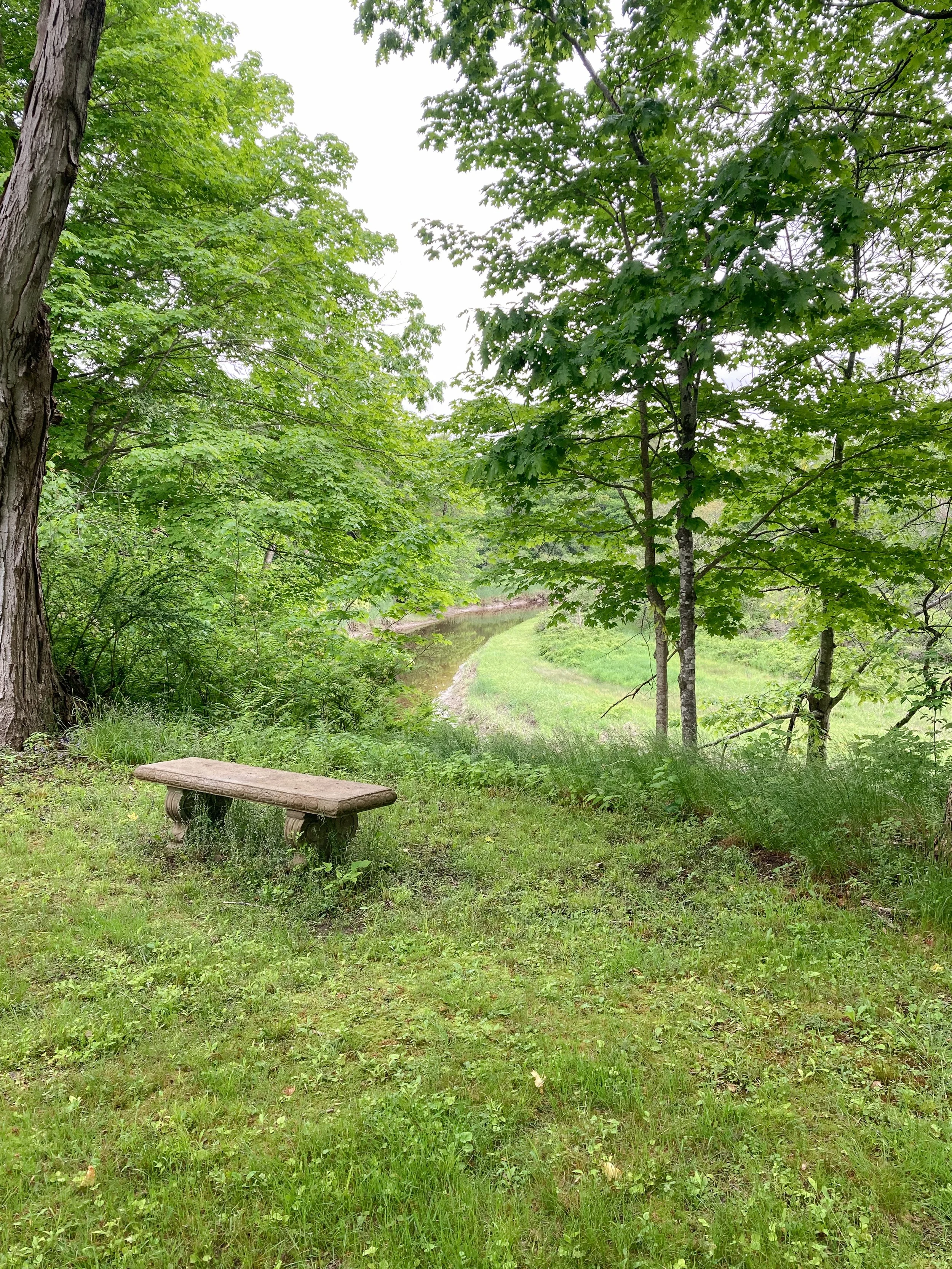 OUTSIDE-STONE BENCH GREENERY AND RIVER .jpg