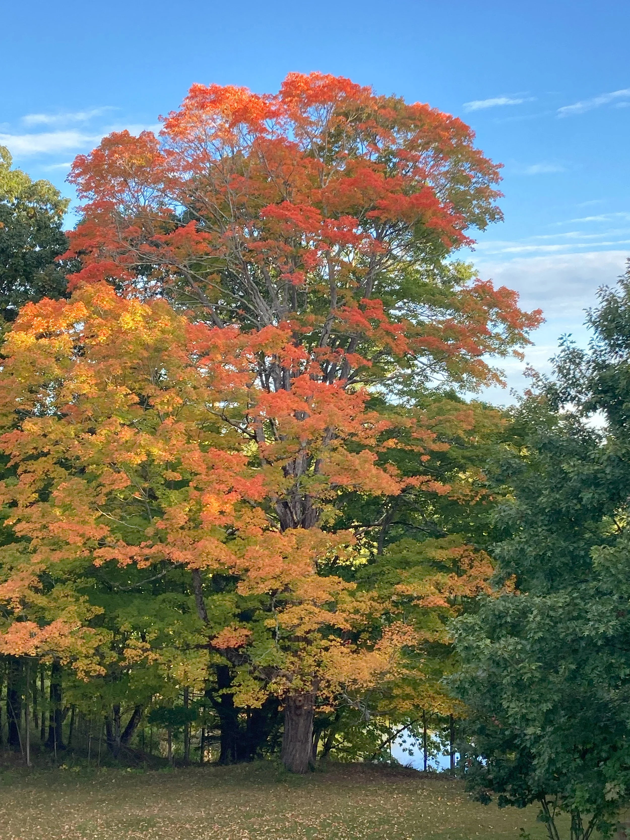 Outdside fall river.jpg