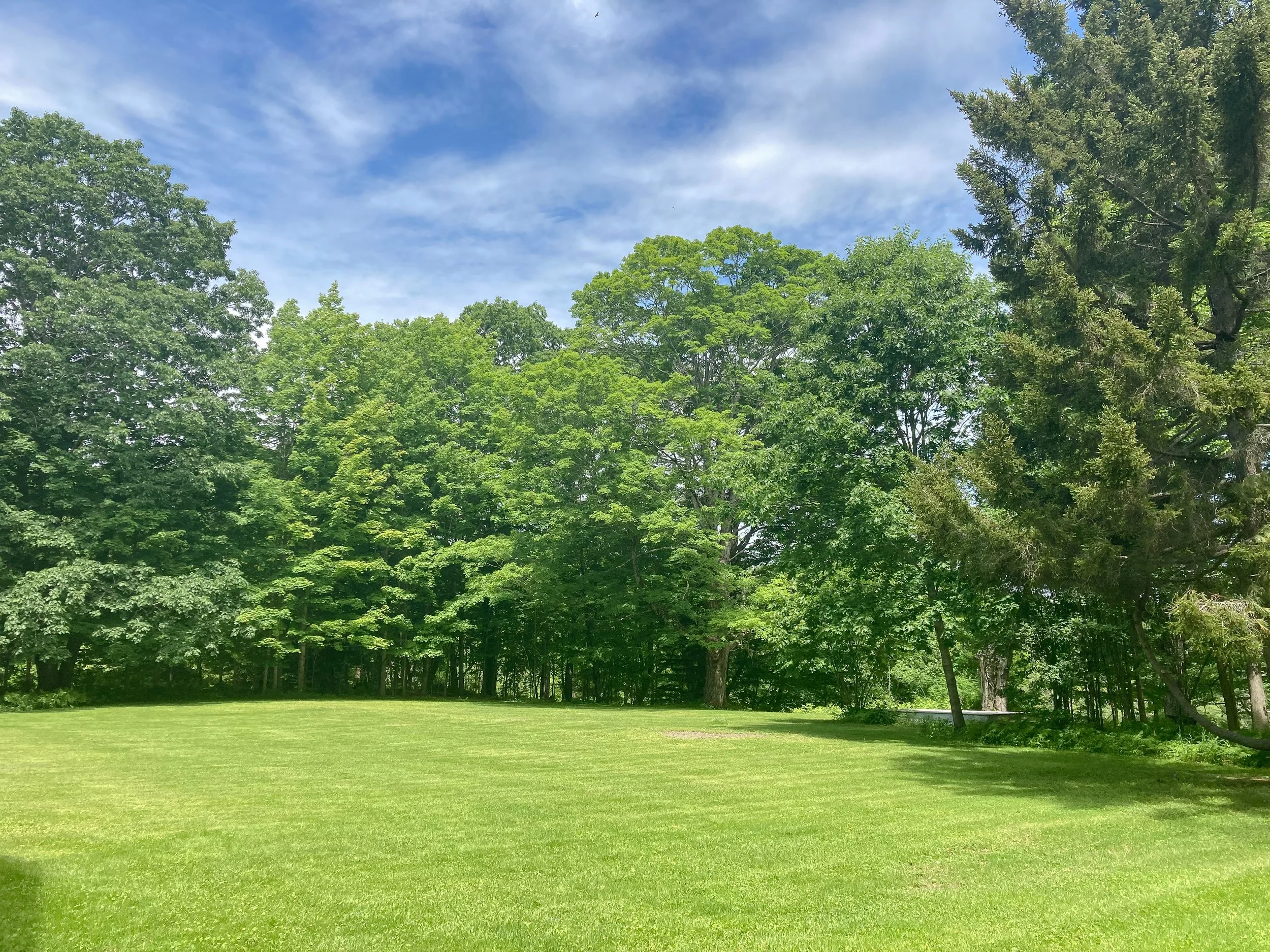 OUTSIDE-GREEN LAWN .jpg