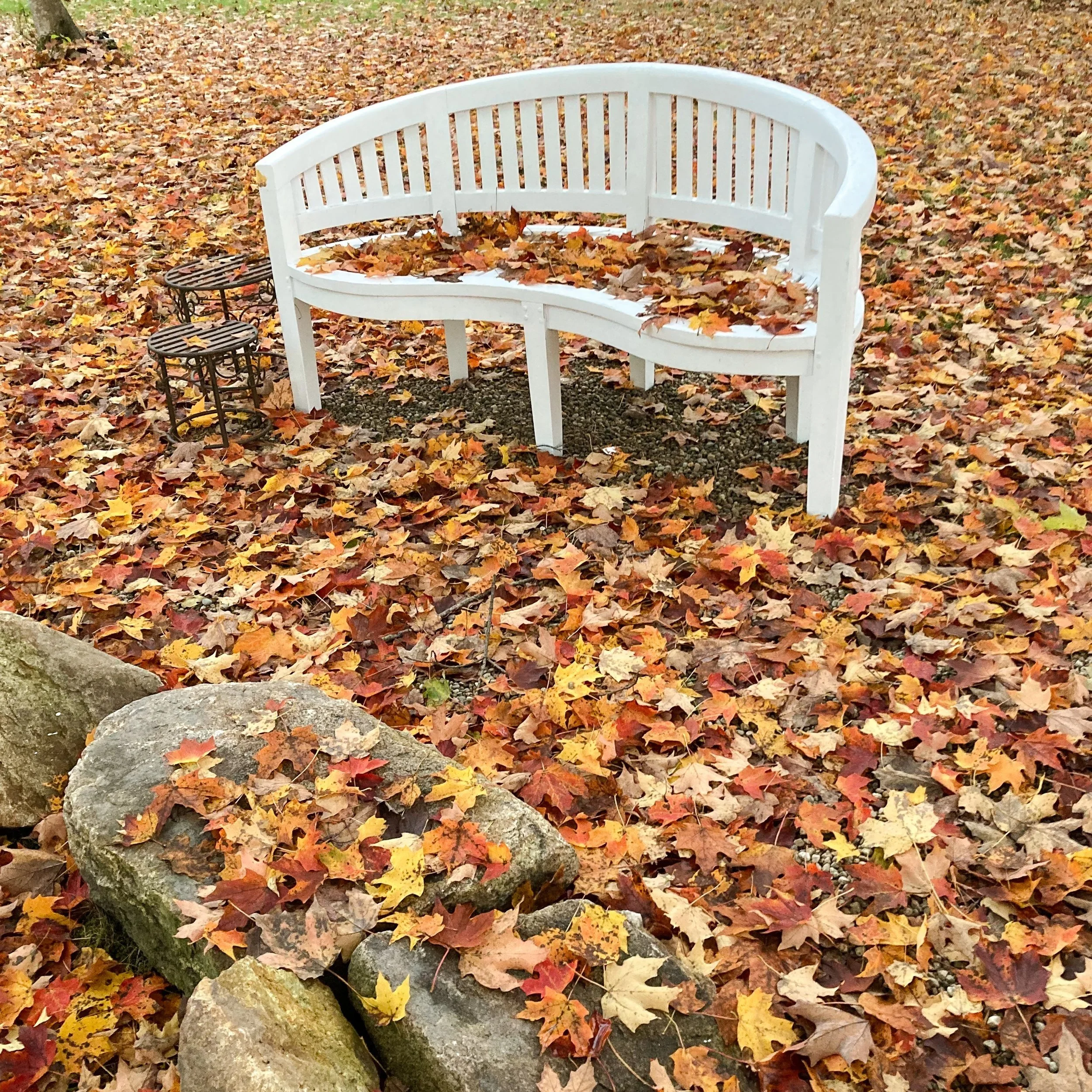 OUTSIDE-WHITE BENCH AND LEAVES .jpg