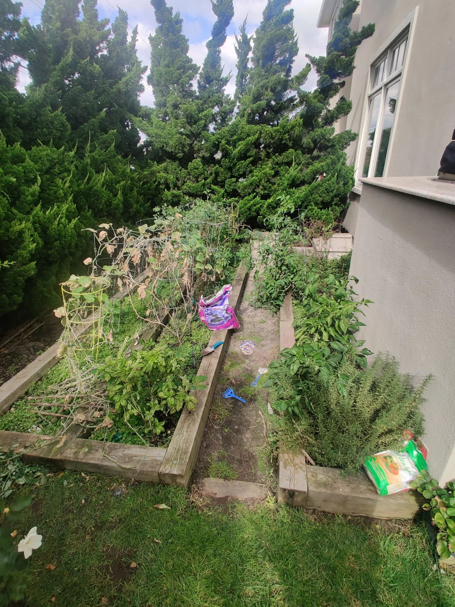 Backyard Kitchen Garden-2