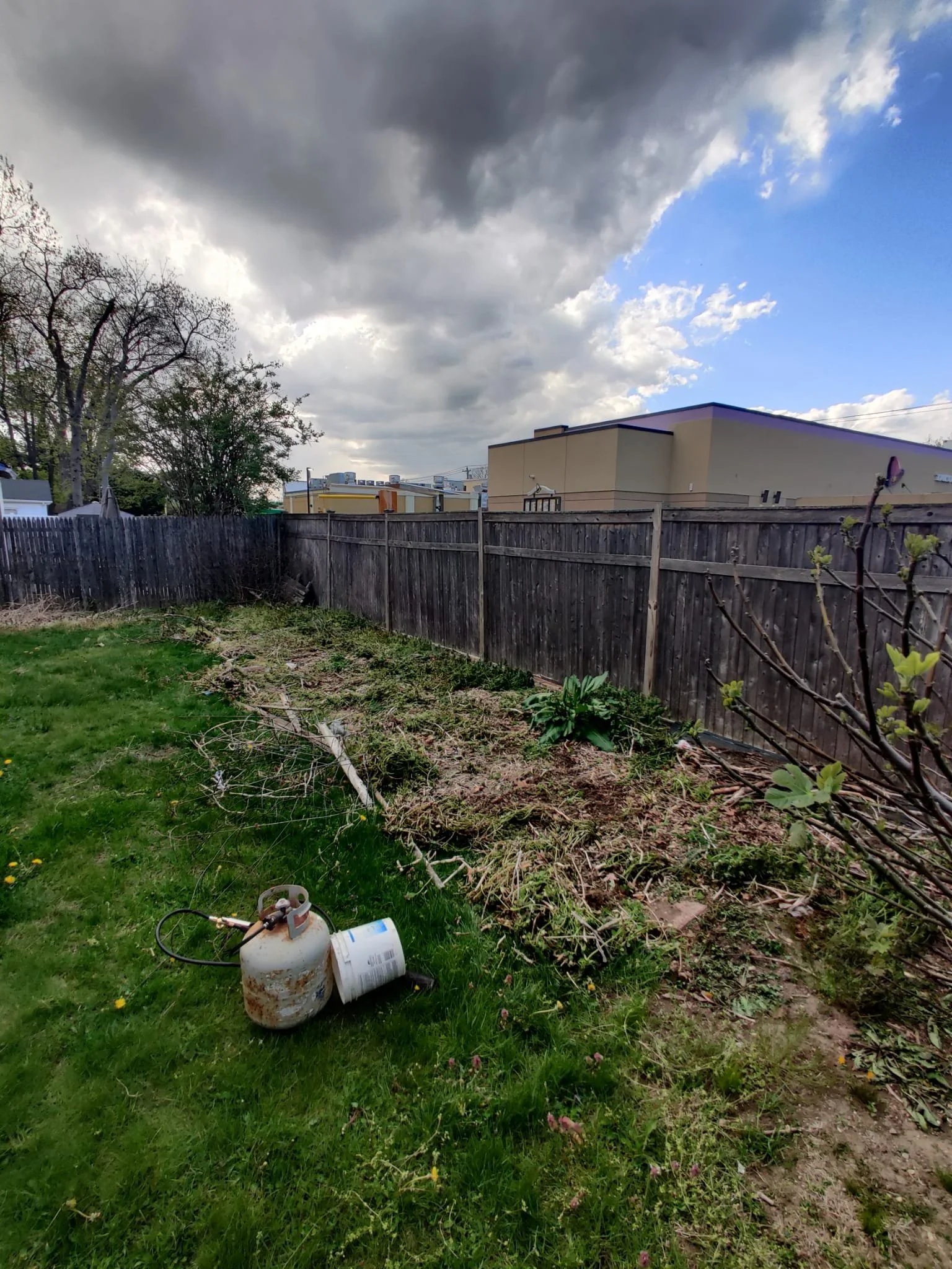 Side Garden Clean-up-1