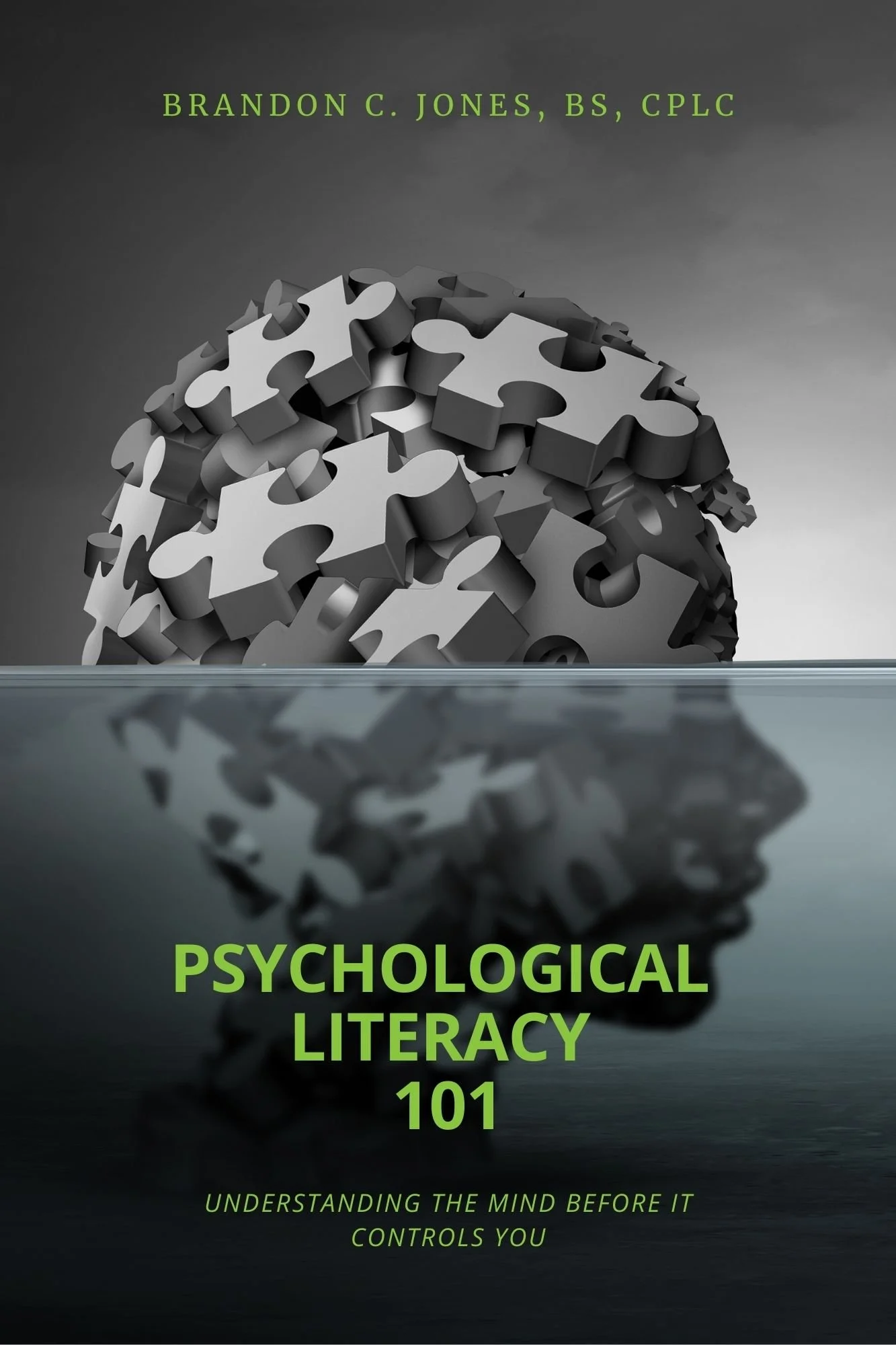 Psychological Literacy 101: Understanding The Mind Before It Controls You E Book