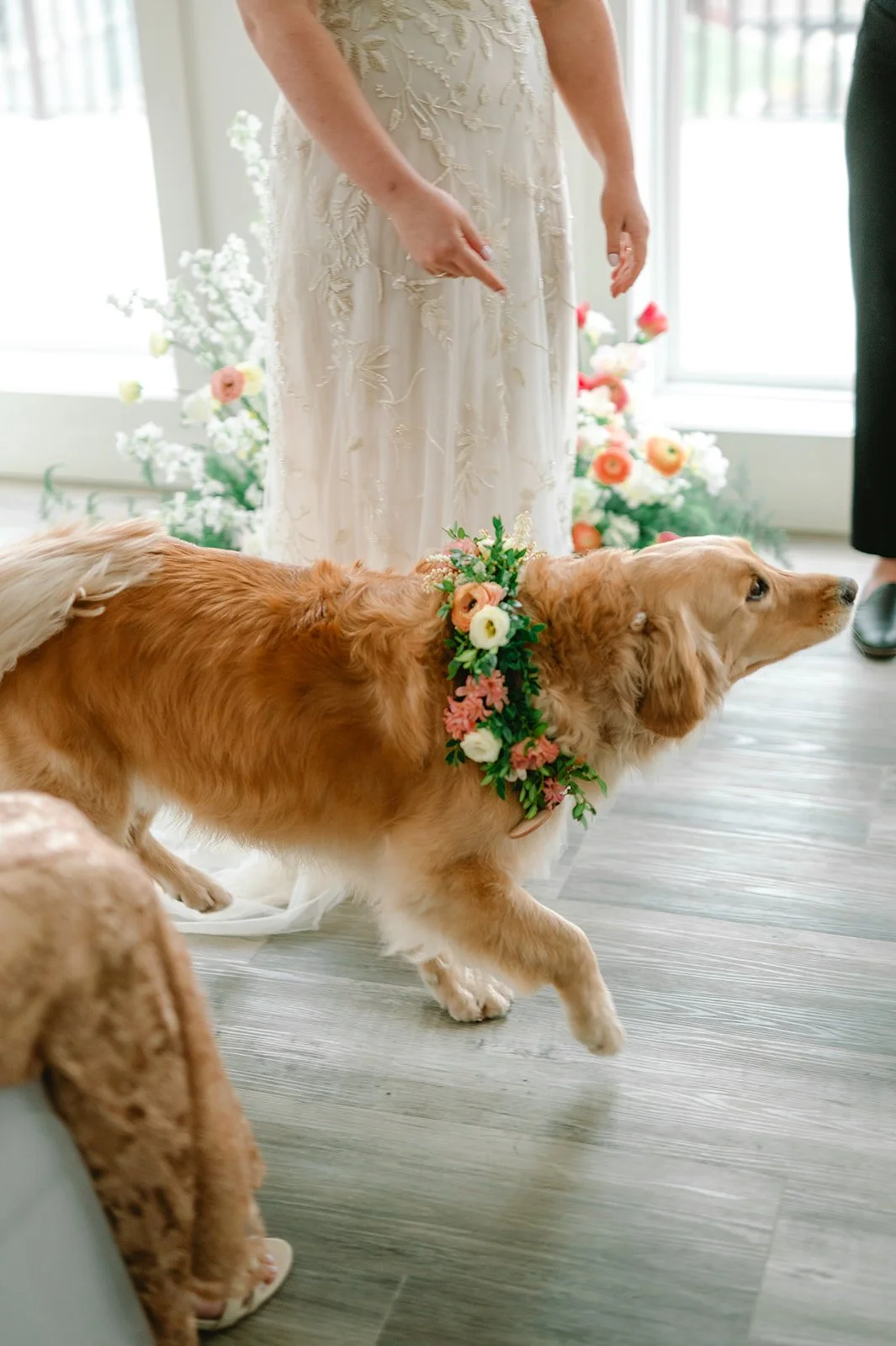 Average Jane Photography - Siena and Jordan - Ceremony-178.jpg