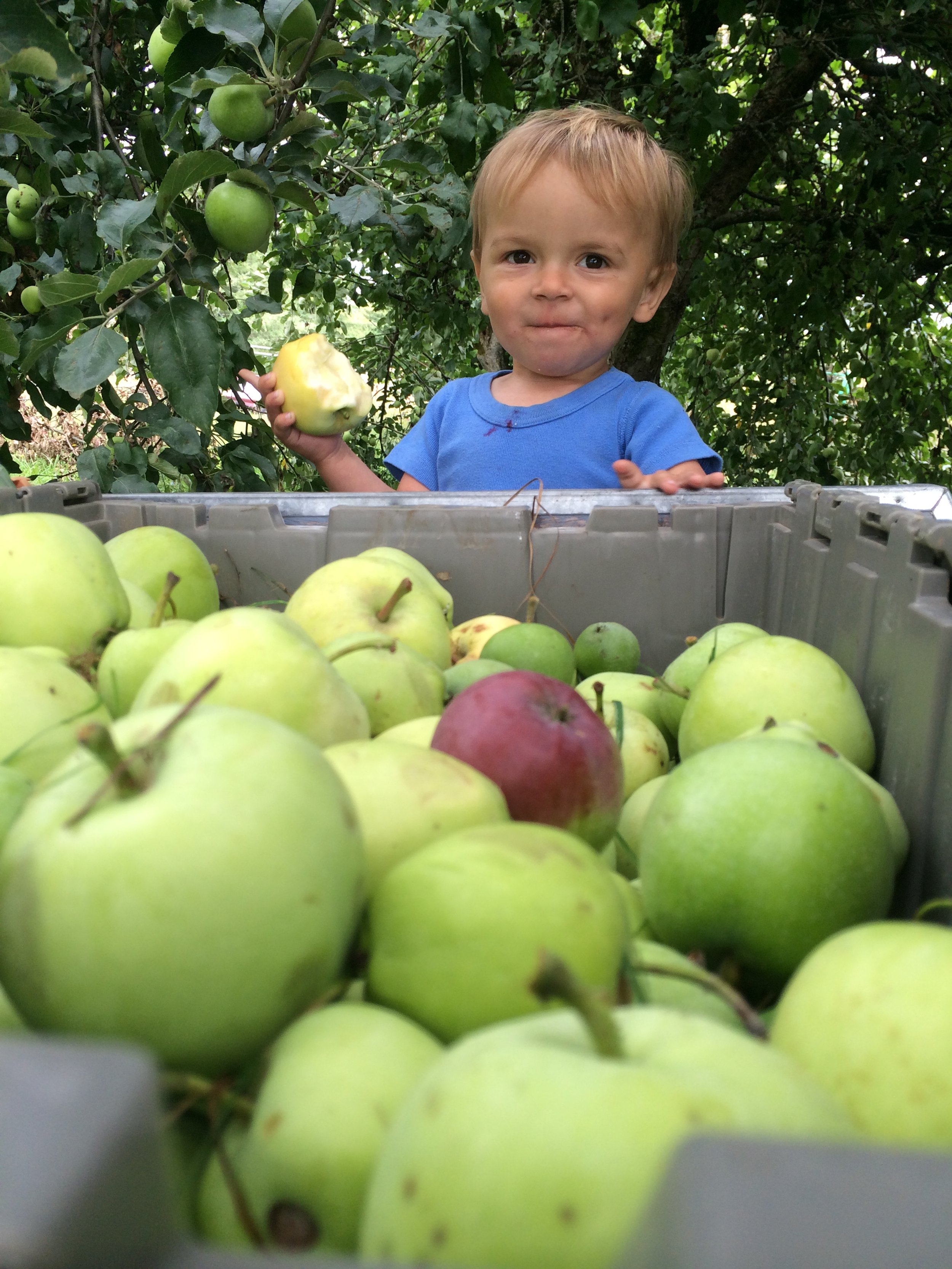 Copy of IMG_7489.JPG