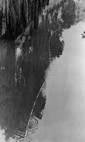 The Snake, 1969 
  “ I lived at Wolfova 1 and we had access to the balcony overlooking
the Ljubljanica River (the river that runs through the center of Ljubjana). I always liked looking for fish from the balcony,
and while doing so I noticed the a