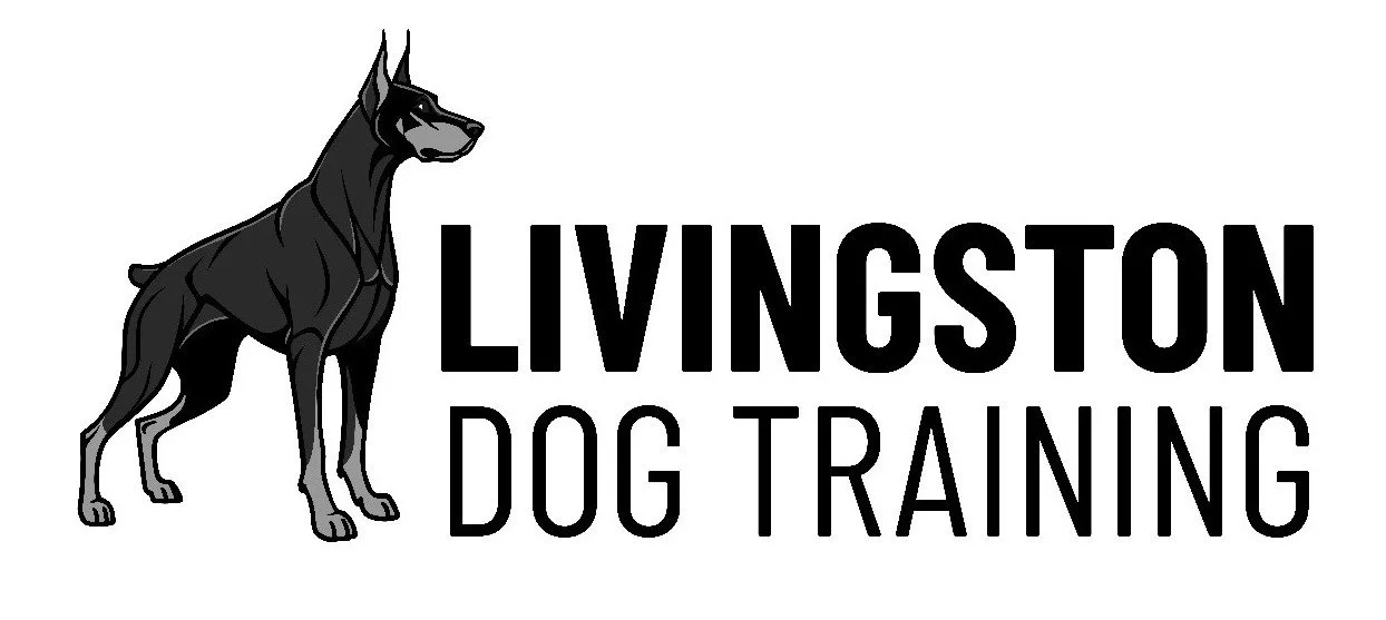 Waggy Races Dog Walking &amp; Training