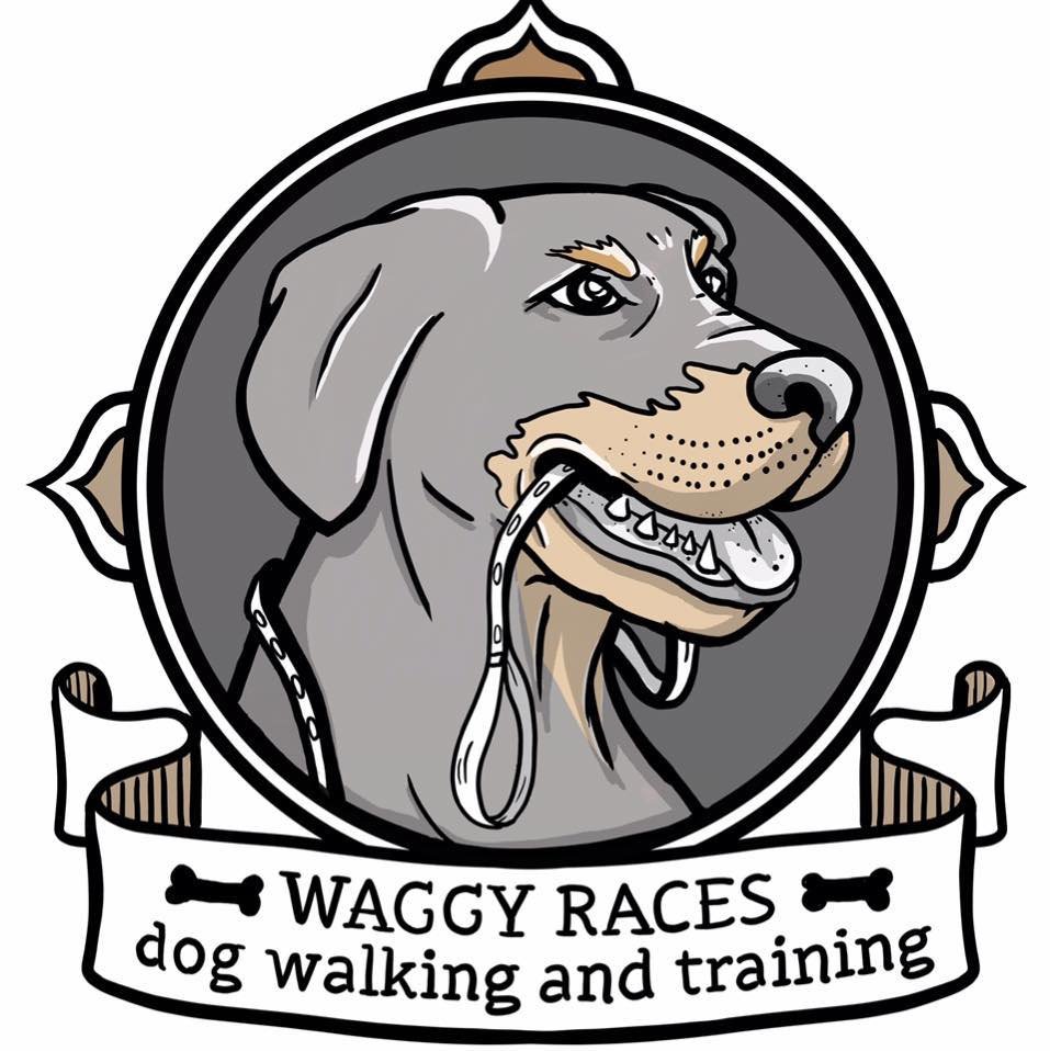 Waggy Races Dog Walking &amp; Training
