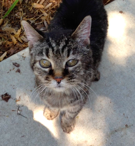 Screen Shot 2022-07-03 at 2.37.50 PM.png