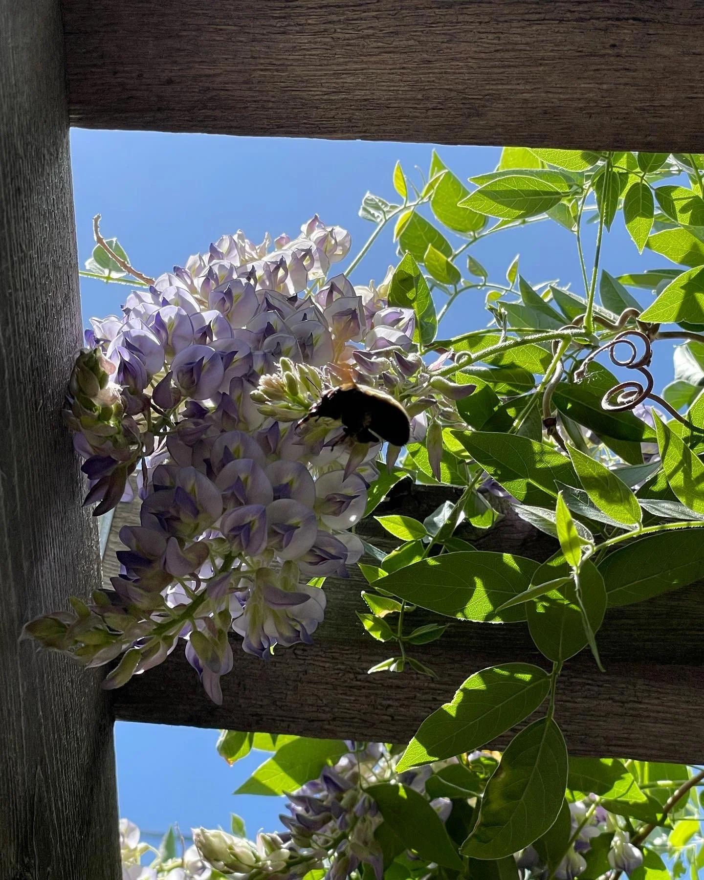 50B73965-076B-45C7-A43B-2045B5DE9144 2.jpg